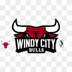 Windy City Bulls - Windy City Bulls Logo, HD Png Download - bulls logo png