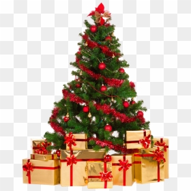 Новогодняя Елка С Подарками, HD Png Download - tree .png
