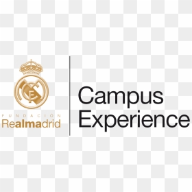 Fundación Real Madrid Campus Experience Camp Photos - Cristiano Ronaldo Real Madrid, HD Png Download - real madrid png