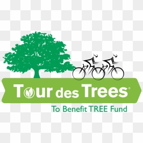 Tour Des Trees 2018, HD Png Download - tree .png