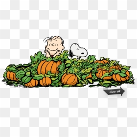 Charlie Brown Halloween Clipart - Charlie Brown Great Pumpkin Clipart, HD Png Download - charlie brown png