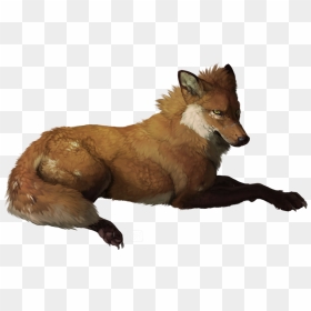 Thumb Image - Anime Reddish Brown Wolf, HD Png Download - black wolf png