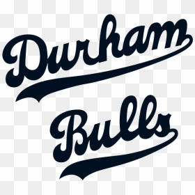 Durham Bulls Logo Png, Transparent Png - bulls logo png
