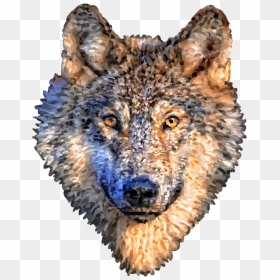 Wildlife,art,canidae - Wolf Head Transparent Background, HD Png Download - black wolf png