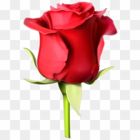 Rose Pic Download Full Hd, HD Png Download - rose emoji png