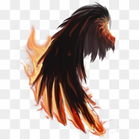 #fire #wings #firewings #tumblr #edit #png #pngedit - Fire Wings Edit, Transparent Png - fire wings png