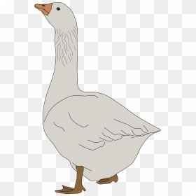 Goose Clipart, HD Png Download - goose png