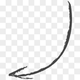 Curved Arrow Png Drawing - Curved Drawn Arrow Png, Transparent Png - curved lines png