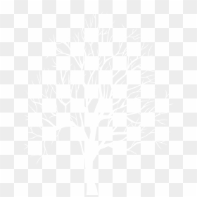 Download White Tree Silhouette Png Png Image With No - White Tree Silhouette Png, Transparent Png - trees silhouette png