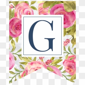 Pink Floral Rose Banner Flag With G In White Box - Garden Roses, HD Png Download - pink banner png