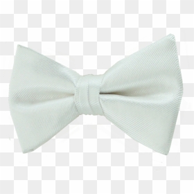 Satin, Hd Png Download - Black Belt, Transparent Png - white bow png