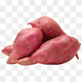 Transparent Yams Png - Sweet Potato Images Hd, Png Download - sweet potato png