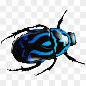 Blue Beetle Png Image - Beetle Clipart, Transparent Png - blue background png