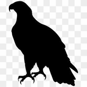 Eagle, HD Png Download - eagle silhouette png