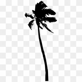 Free Png Palm Tree Silhouette Png Images Transparent - Portable Network Graphics, Png Download - trees silhouette png