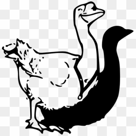 Clip Art, HD Png Download - goose png