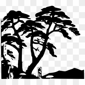 Rain Forest Vector Art, HD Png Download - trees silhouette png