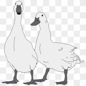 Goose Clipart Black And White, HD Png Download - goose png
