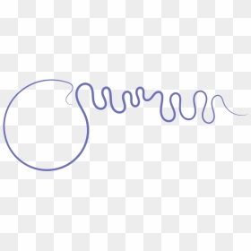 Vector Illustration Of Abstract Blue Line Curve - Circle, HD Png Download - curved lines png
