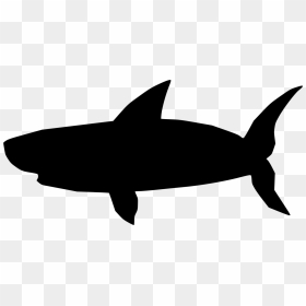 Great White Shark Bruce Hammerhead Shark Blue Shark - Blue Shark Silhouette Png, Transparent Png - great white shark png