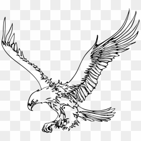 Eagle Outline Png - Black And White Eagle Clip Art, Transparent Png - eagle silhouette png