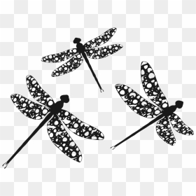 Clip Art Dragonflies, HD Png Download - dragonfly silhouette png