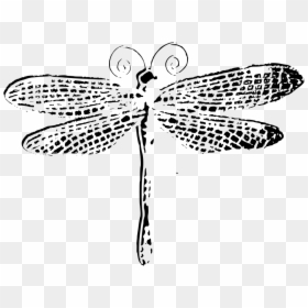 Clip Art, HD Png Download - dragonfly silhouette png