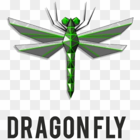 Minute To Win It Paper, HD Png Download - dragonfly silhouette png
