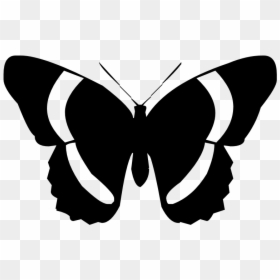 Black And White Silhouette Butterflies Clipart, HD Png Download - dragonfly silhouette png