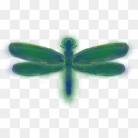 Dragonfly, HD Png Download - dragonfly silhouette png