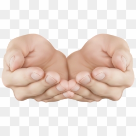 Transparent Cupped Hands, HD Png Download - baby hand png