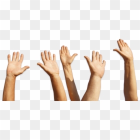 Raise The Roof Hands, HD Png Download - baby hand png