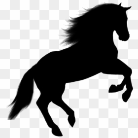 Transparent Background Horse Png, Png Download - jumping silhouette png