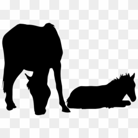 Horse And Foal Silhouette, HD Png Download - jumping silhouette png