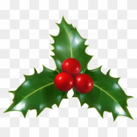 Cute Transparent Background Mistletoe, HD Png Download - holly berry png