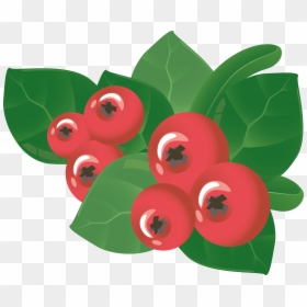 Berry, HD Png Download - holly berry png