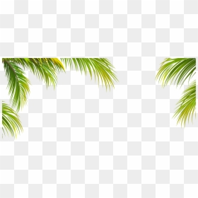 Palm Tree Border Png, Transparent Png - leaves border png