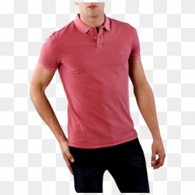 Man, HD Png Download - holly berry png