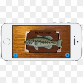 Bass, HD Png Download - fish jumping png
