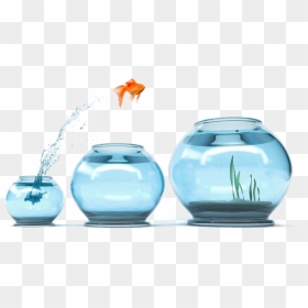 Goldfish Bowl Bigger, HD Png Download - fish jumping png