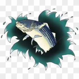 Illustration, HD Png Download - fish jumping png