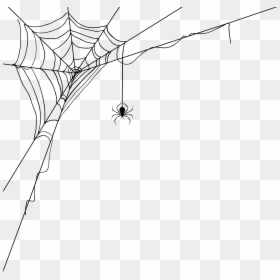 Spider Man Web Png, Transparent Png - world wide web png