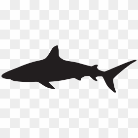 Great White Shark Silhouette Clip Art - Shark Silhouette Png, Transparent Png - great white shark png