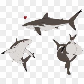 Clipart Freeuse Library Great White Chondrichthyes - Big Eye Thresher Shark Cute, HD Png Download - great white shark png