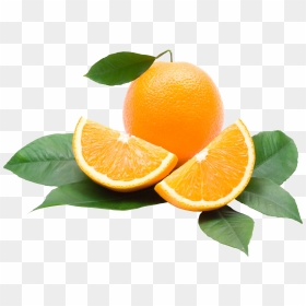 Oranges Png Image, Transparent Png - oranges png
