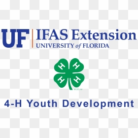 Uf Ifas 4h Youth Development - Florida 4 H Logo, HD Png Download - uf logo png