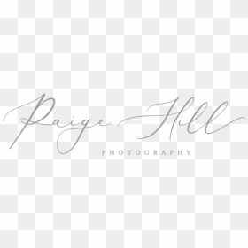 Paige In Calligraphy, HD Png Download - paige png