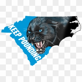Panther Nation, Unc Tarheels, Tar Heels, Carolina Panthers - Fang, HD Png Download - carolina panthers png