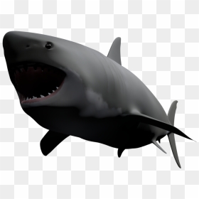 Great White Shark , Png Download - Great White Shark, Transparent Png - great white shark png