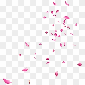 Pink Rose Flower Petals - Falling Petals Gif Transparent, HD Png Download - petals png